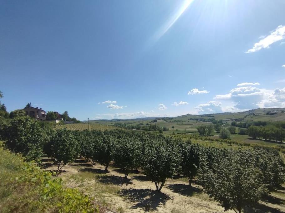 알리아노 테르메 Ca' D'La Nona Casa Con Giardino 빌라 외부 사진