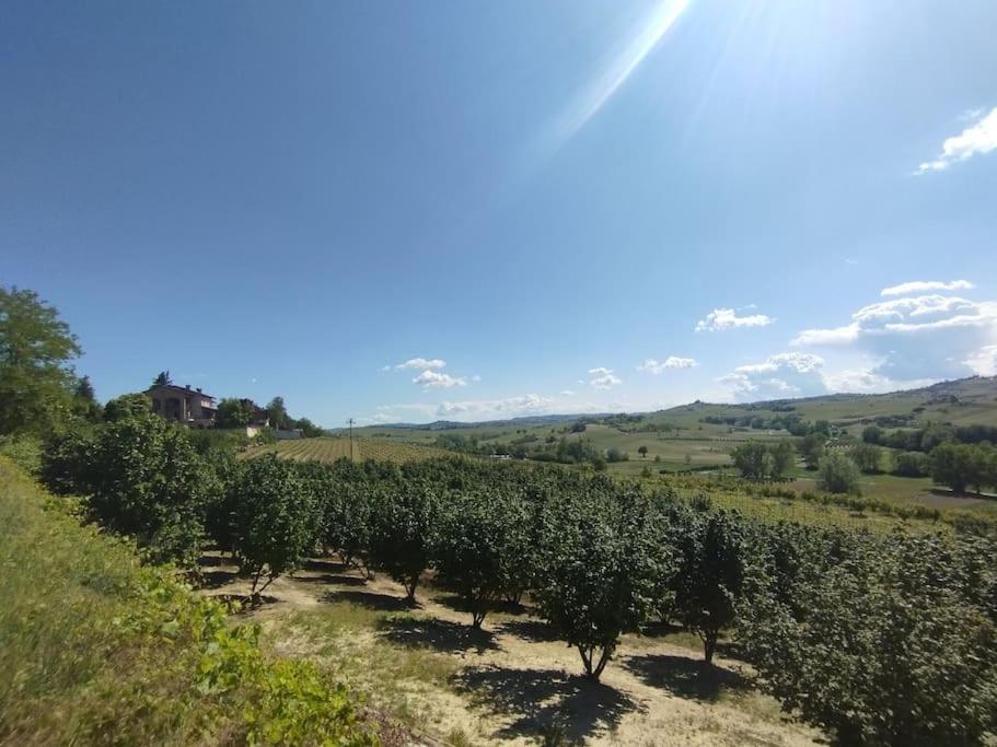 알리아노 테르메 Ca' D'La Nona Casa Con Giardino 빌라 외부 사진